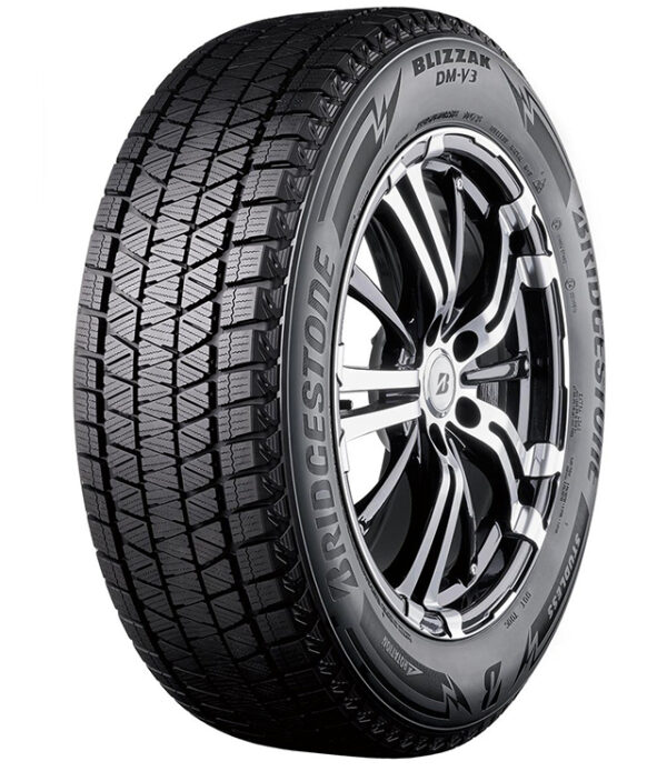 225/55 R19 99T Blizzak DM-V3 3PMSF